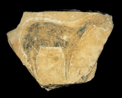 Biche noire, Grotte de Parpalló, Espagne, Paléolithique supérieur - Prehistoric Prehistoric