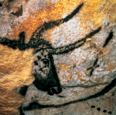 Peinture pariétale représentant un auroch, Salle des Taureaux, grotte de Lascaux - Prehistoric Prehistoric