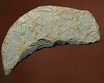 Préhistoire : outil de type chopper de fabrication lithique de Kjokkenmoddinger, Danemark - Prehistoric Prehistoric