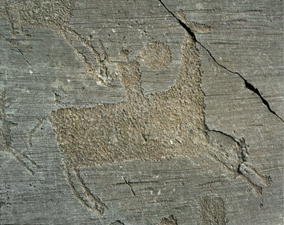 Préhistoire, civilisation Camunni, art rupestre : roche funéraire représentant un guerrier à cheval avec un bouclier. Période entre le Néolithique et l