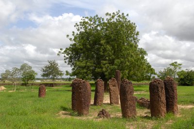 Préhistoire : cercle mégalithique de pierres de Wassu, Gambie (photo) - Prehistoric Prehistoric