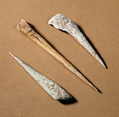 Préhistoire : perchoir en os datant du Paléolithique - Prehistoric Prehistoric