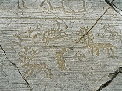 Préhistoire, civilisation des Camunni, art rupestre : roche funéraire représentant des cerfs. Période entre le Néolithique et l