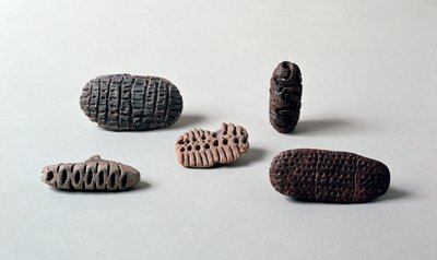 Préhistoire : différentes pintaderas (sceaux) en terre cuite néolithique de la Caverna Delle Arene à Candide (Ligurie) - Prehistoric Prehistoric