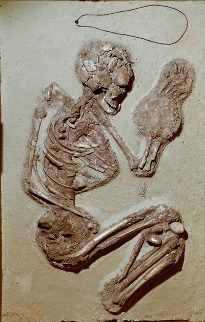 Préhistoire : squelette féminin datant du Néolithique supérieur. Culture de Chiozza. 2900-2700 av. J.-C. - Prehistoric Prehistoric