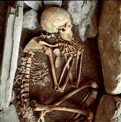 Préhistoire : squelette féminin de la grotte de l