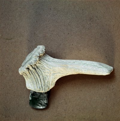Préhistoire : hachette en pierre verte avec manche en bois de cerf de la grotte de Pollera - Prehistoric Prehistoric