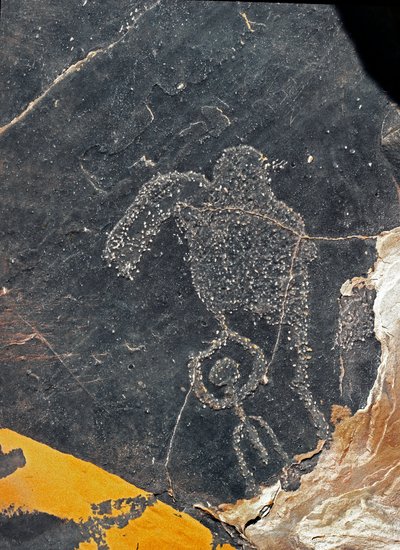 Préhistoire, art rupestre : roche funéraire avec figure humaine. Âge de pierre 5000-2000 av. J.-C. Taghit, Haut plateau du Hoggar (Ahaggar), Algérie - Prehistoric Prehistoric