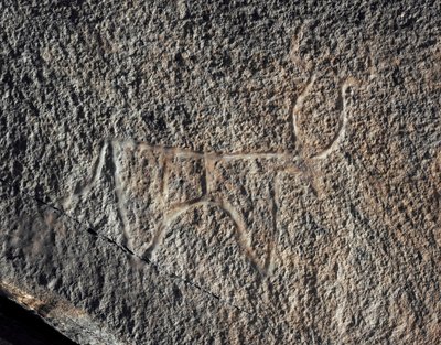 Préhistoire, art rupestre : gravure de la représentation d