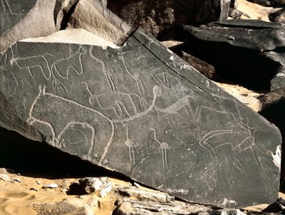Préhistoire, art rupestre : roche funéraire représentant des lions, des antilopes, des autruches et du bétail. Âge de pierre 5000-2000 av. J.-C. Taghit, Haut plateau du Hoggar, Algérie - Prehistoric Prehistoric