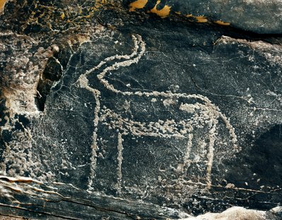 Préhistoire, art rupestre : roche gravée de la représentation d