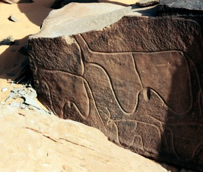 Préhistoire, art rupestre : roche funéraire de la représentation de bovins. Style Tazina - Prehistoric Prehistoric