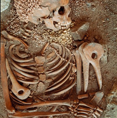 Préhistoire : squelette et trousseau funéraire d