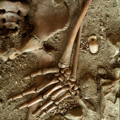 Préhistoire : sépulture d