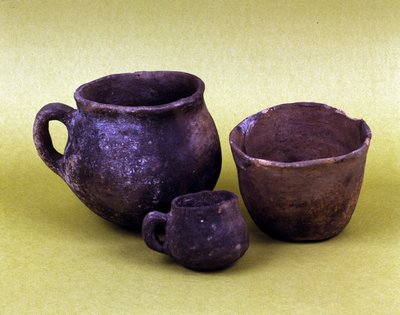 Vase et récipients de la population Hunseans de Lagozza (3100 av. J.-C. - 2200 av. J.-C.) du nord de l
