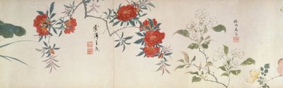 Fleurs, rouleau de main (encre et couleur sur papier) - Qing Dynasty Chinese School
