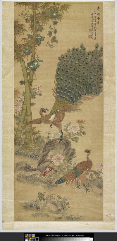 Paon - Quan Shen