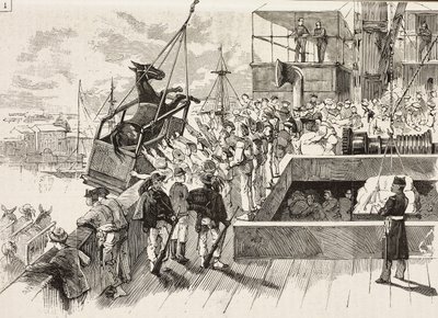 Une mule est hissée sur le navire Principe Amedeo, expédition italienne en mer Rouge, Italie, gravure d