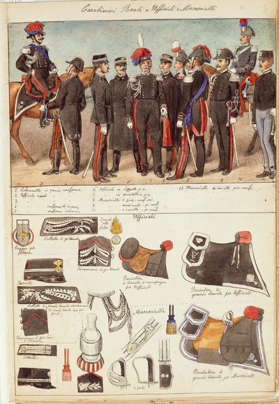 Uniformes des Carabiniers royaux, officiers et sous-officiers du Royaume d