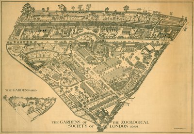 Zoo de Londres, Regents Park, Westminster, 1929 - RB Brook Greaves