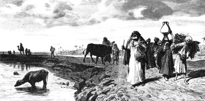 Une chaussée dans le delta, au moment de l