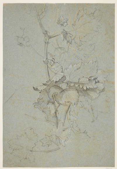 Étude de plantes - Rachel Ruysch