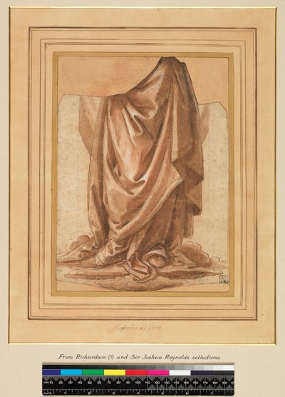 Étude de draperie, avant 1524 - Raffaellino del Garbo
