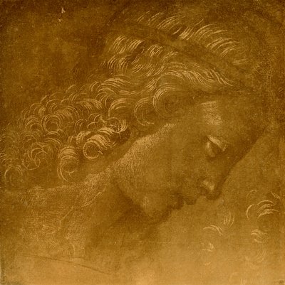 Étude sur une tête d