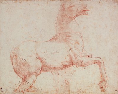 Étude pour le cheval de marbre du Quirinal - Raffaello Sanzio Raphael