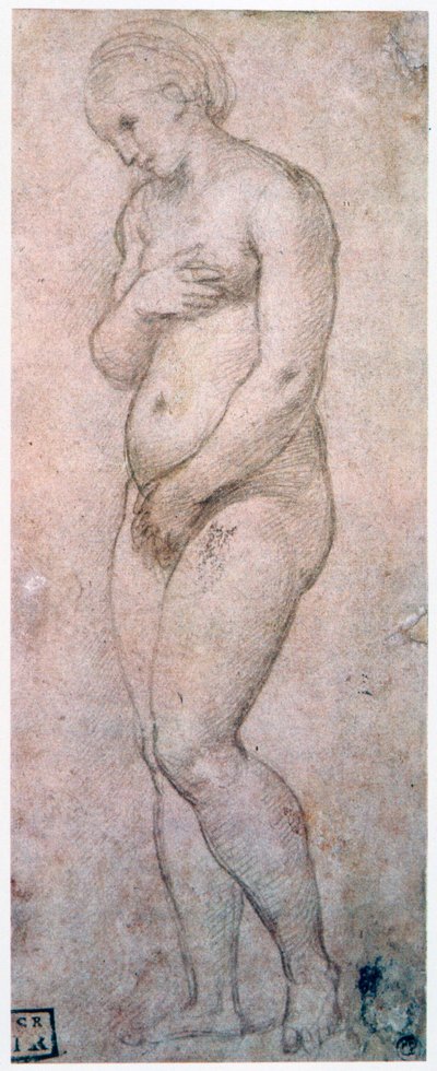 Étude de Vénus, vers 1500-1520 - Raffaello Sanzio Raphael