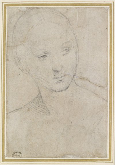 Étude de la tête d