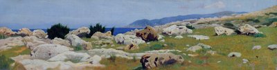 Castiglioncello depuis Punta del Bocca, vers 1864 - Raffaello Sernesi