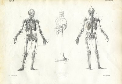 Être Humain, 1863-79 - Raimundo Petraroja