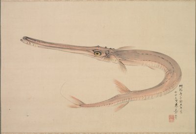 Poisson-aiguille Yagara, 1870 - Raisho Nakajima
