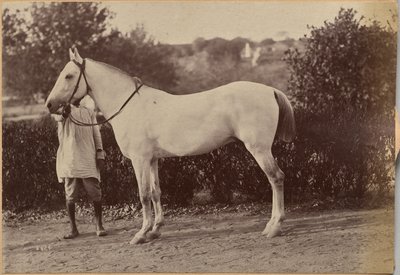  - Raja Deen Dayal