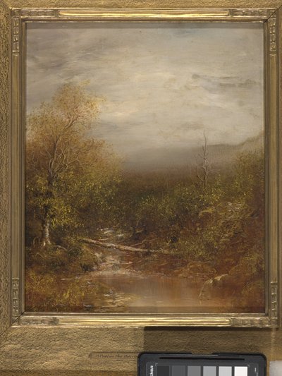 Piscine dans les Adirondacks - Ralph Albert Blakelock