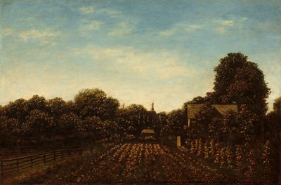 Le jardin de l