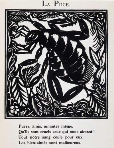 La puce - in “Le Bestiaire ou cortege d