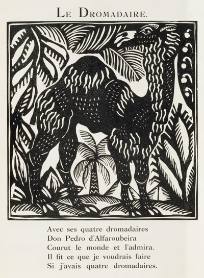 Le dromadaire, illustration tirée du "Bestiaire ou cortège d