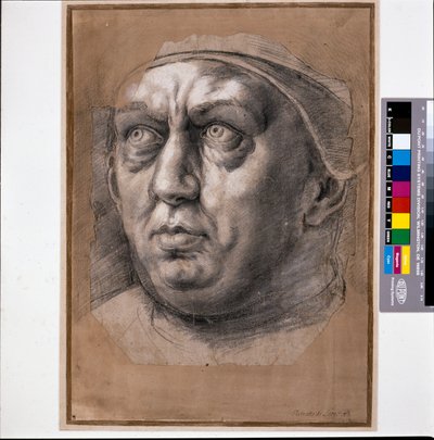 Pape Léon X - Raphael (1483 1520)