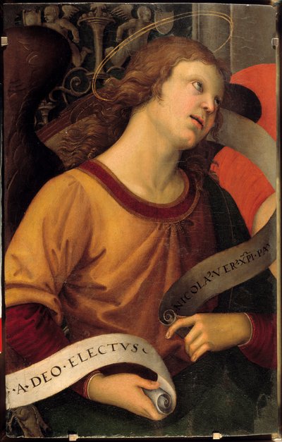 Un ange. Fragment du retable de Baronci. Peinture de Raffaello Sanzio dit Raphaël (1483-1520) - Raphael