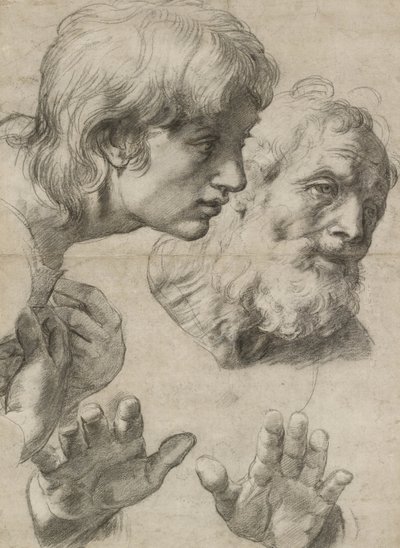 Études des têtes de deux apôtres et de leurs mains - Raphael
