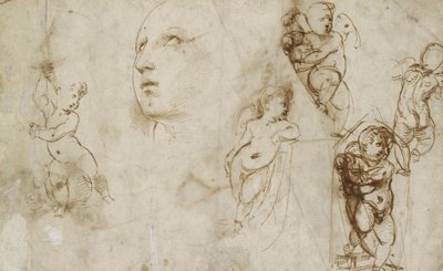 Diverses études, principalement pour la Sainte Catherine Borghese-Beckford - Raphael