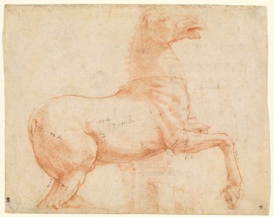 Un cheval en marbre sur la colline du Quirinal (recto) - Raphael