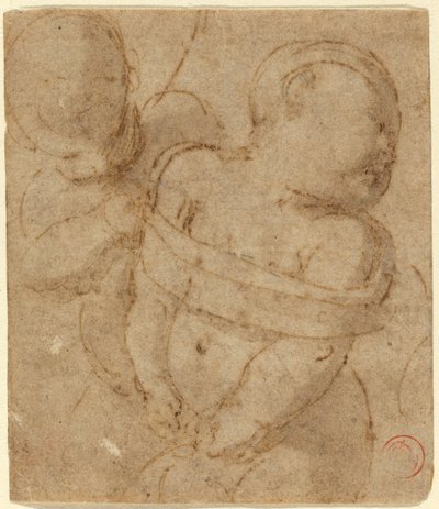 Cupidon Lié - Raphael