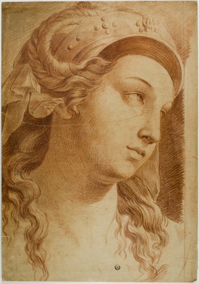 Tête de Comity - Raphael