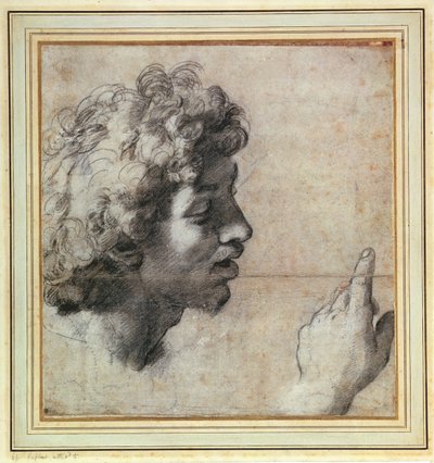 Études de la tête et de la main d
