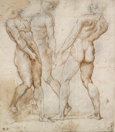 Trois porteurs nus Étude pour la Mise au tombeau, début du 16e siècle - Raphael