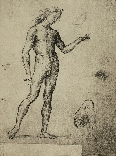 Étude de nu masculin - Raffaello Sanzio Raphael