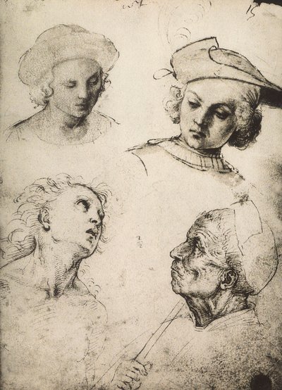 Étude de quatre visages masculins - Raffaello Sanzio Raphael